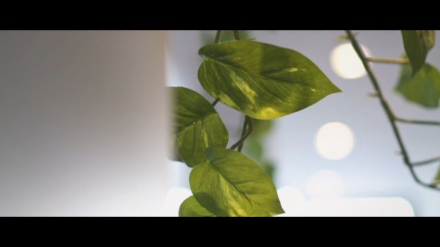 Still from The Macaronut Pop Up - Melbourne Launch by Stagewolf Productions